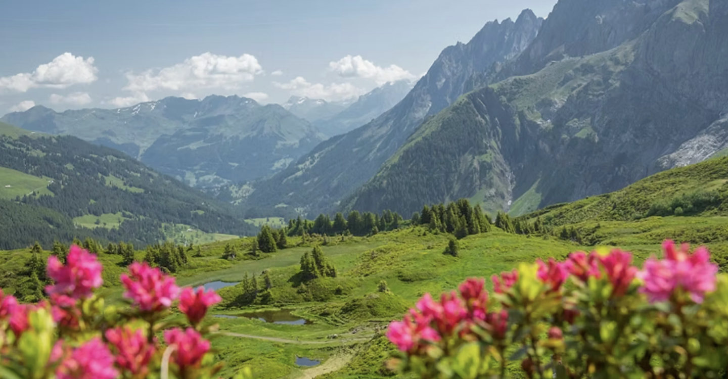 Geniessen Sie den herrlichen Bergsommer im Chalet Hotel Schwarzwaldalp mit Eintritt in die Gletscherschlucht Rosenlaui und freie Fahrt mit dem Bus auf der Strecke Meiringen - Schwarzwaldalp - Grindelwald​. Am Abend werden Sie mir einem 4-Gang Menu verwöhnt.